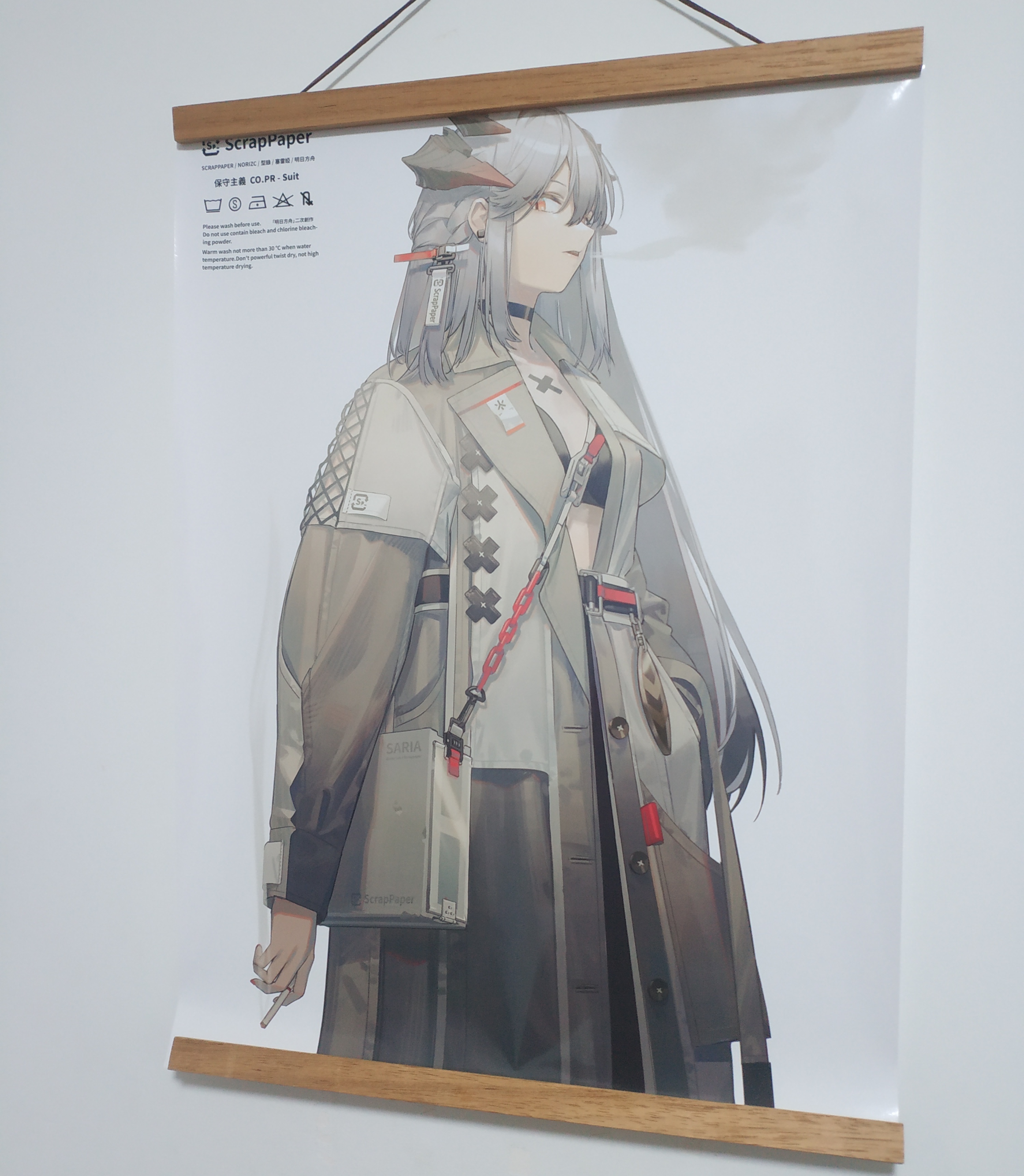 [无关氵]请上墙吧,赛雷娅女士