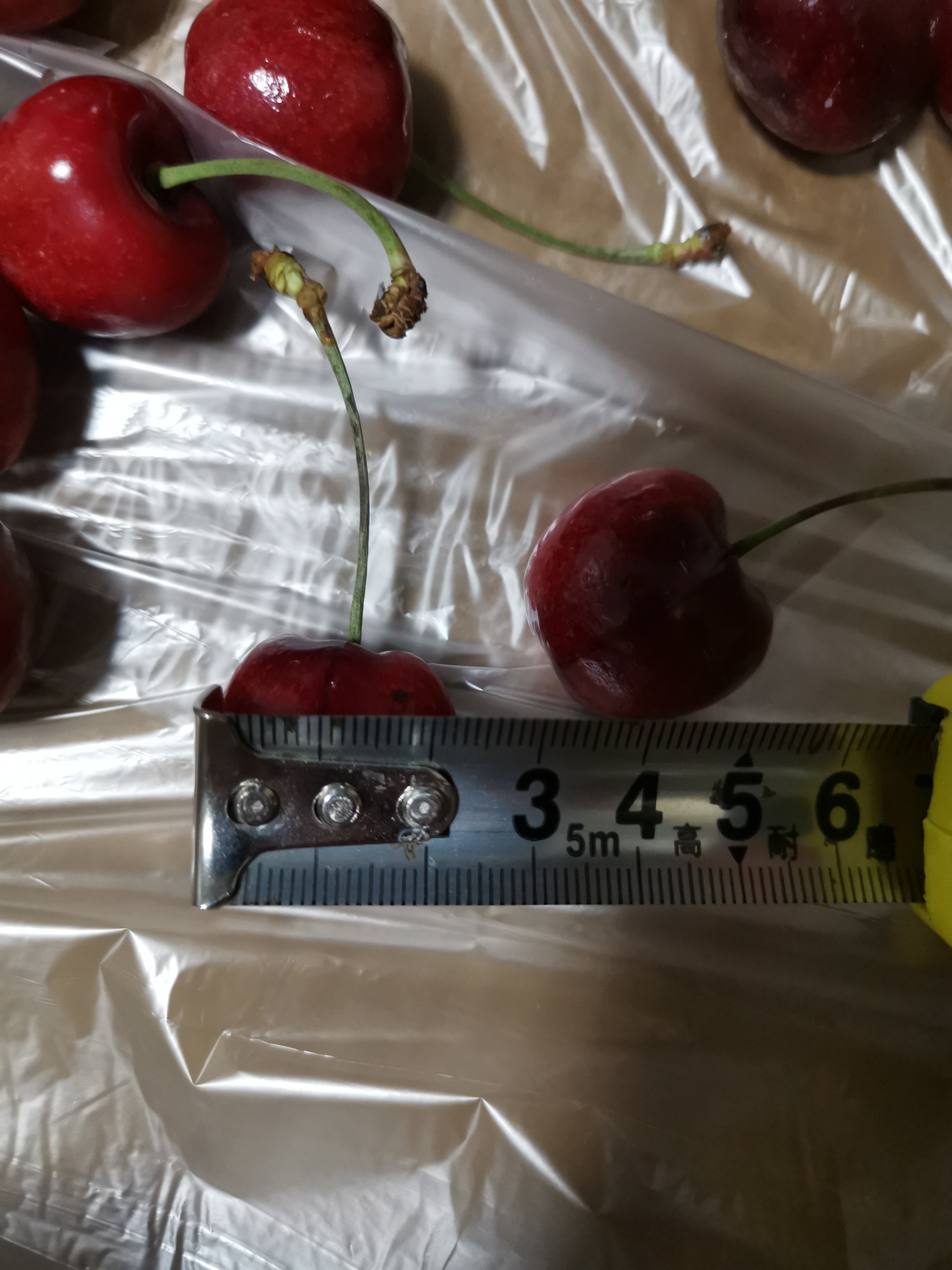 狗东jj车厘子翻车了感觉只有xl级