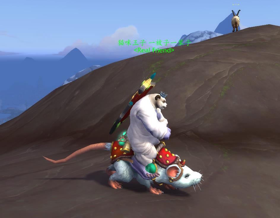 公熊猫骑老鼠的样子