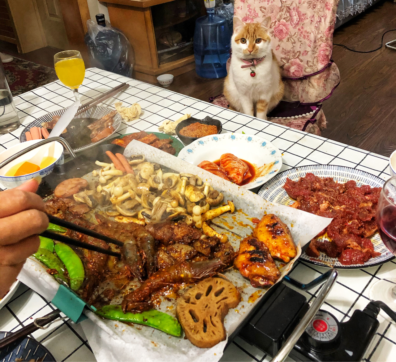 春节第二天猫咪看我们吃烤肉