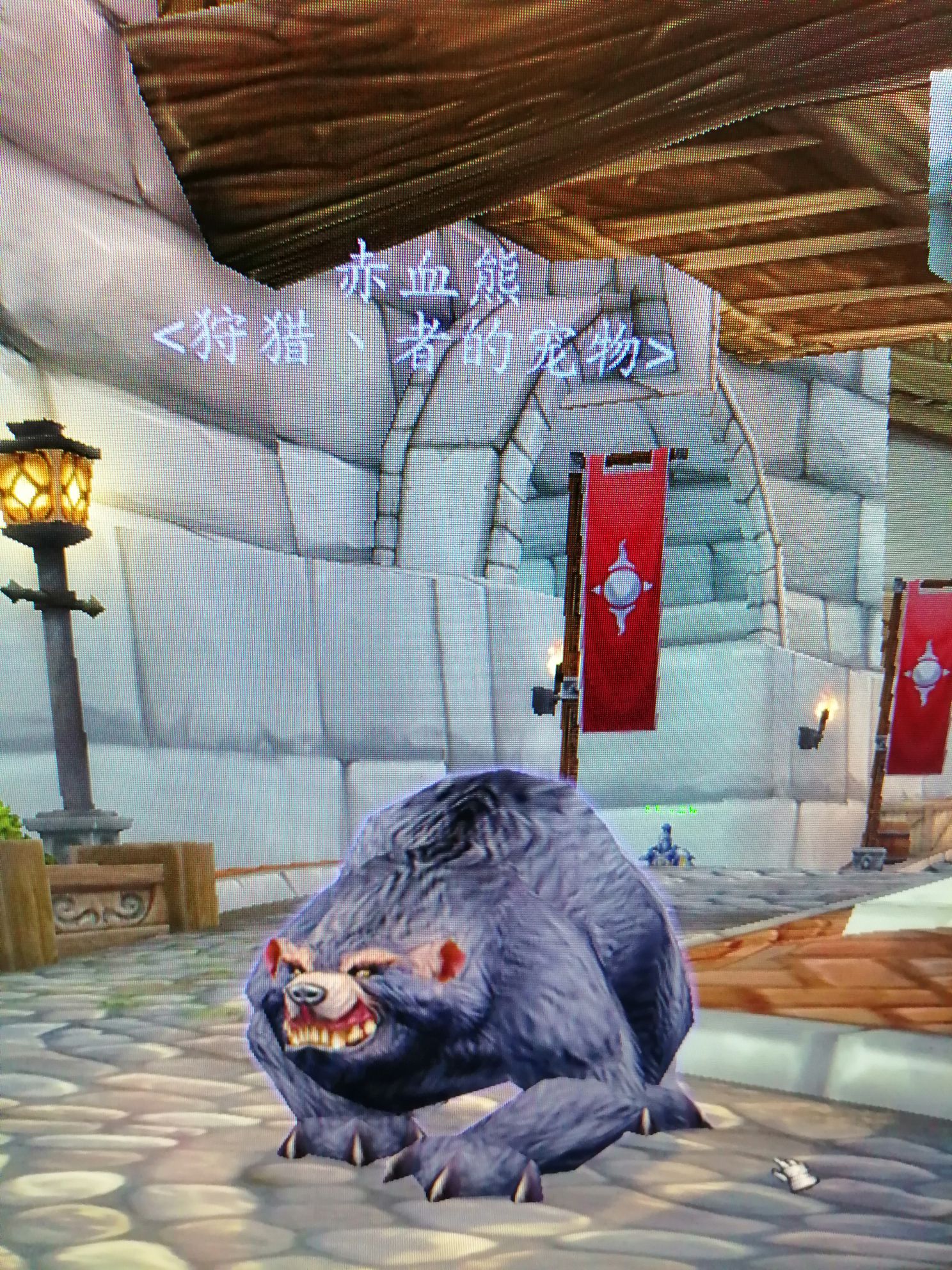 求问,类似于"巨熊之灵"的熊哪抓?