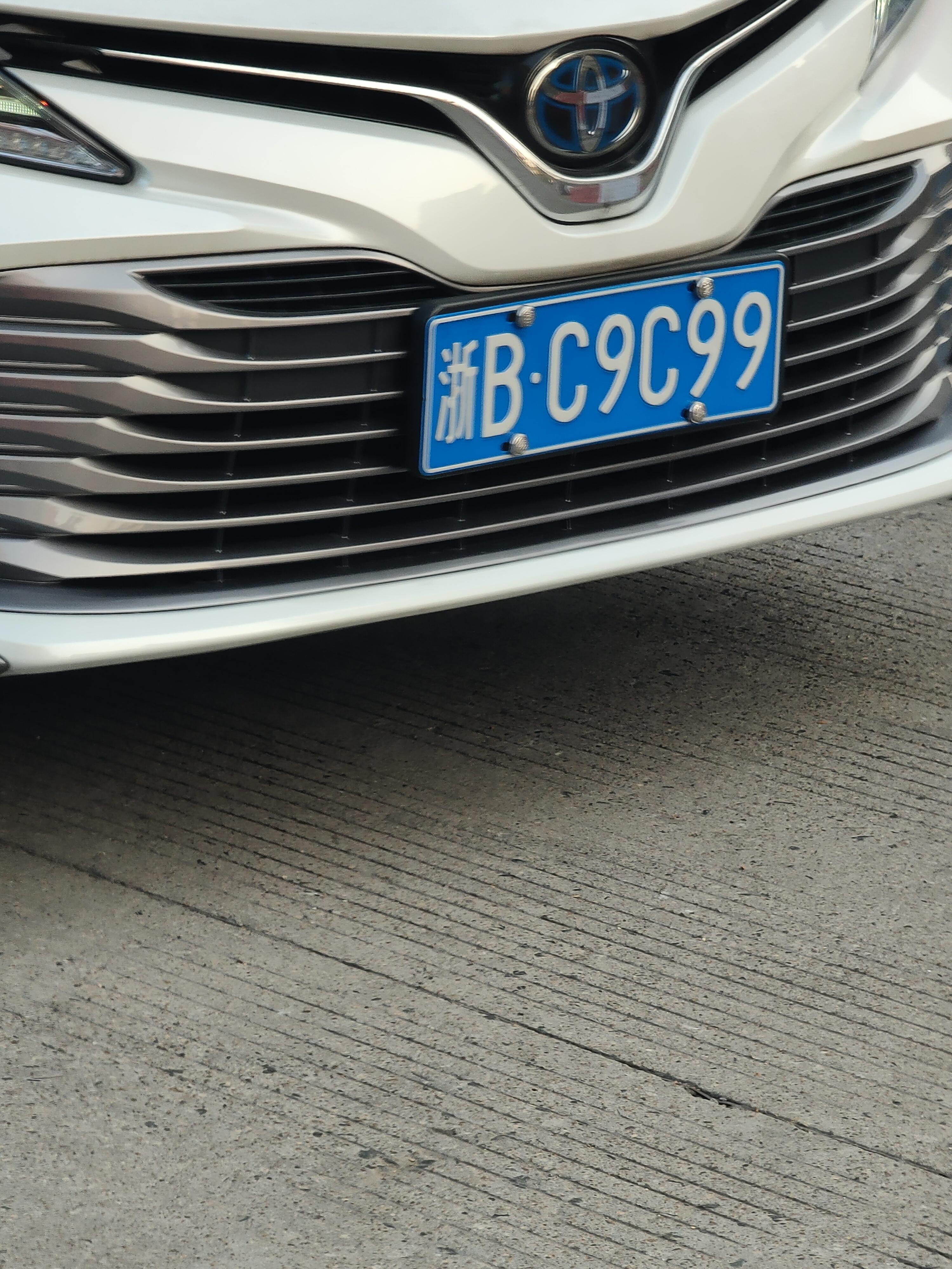 c9粉丝专用车牌