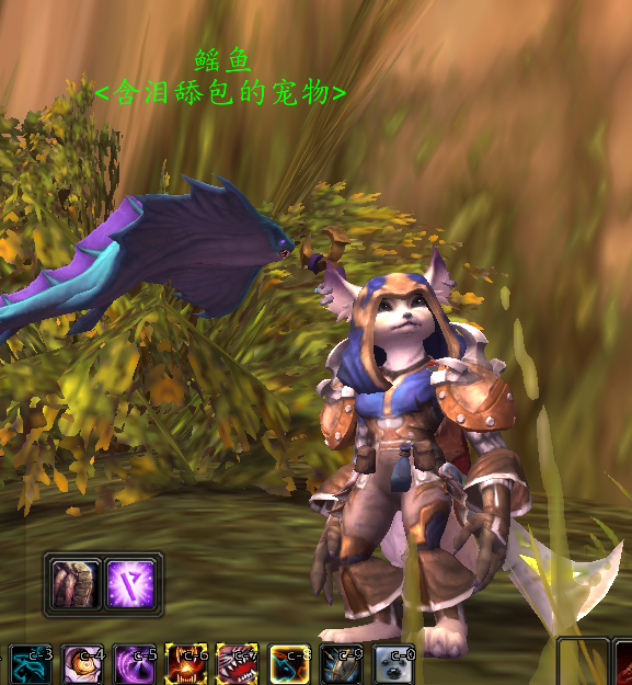 冒险心得 幻化讨论区 狐人玩什么职业好看