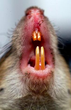 绰号氵sl8现在有绰号了吗没有的话我起一个