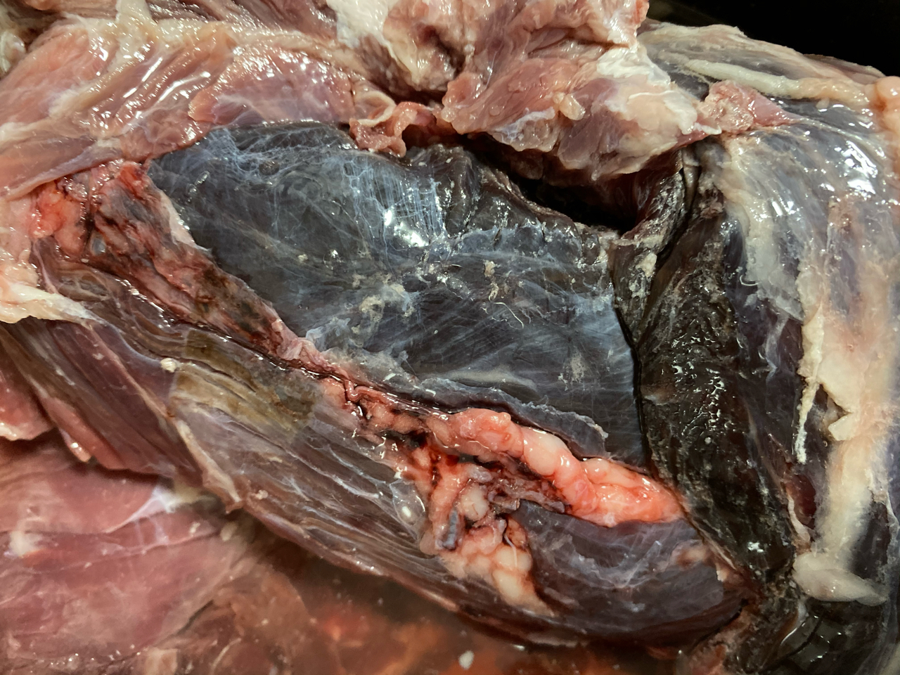 刚在网上买的牛肉发现呈紫黑色不会坏了吧