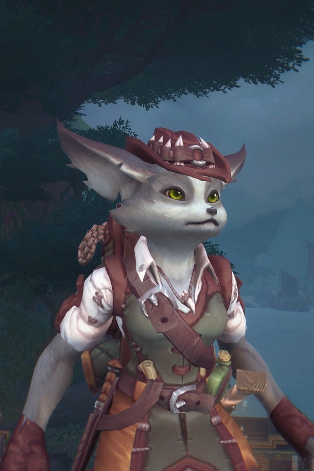 狐人玩什么职业好看