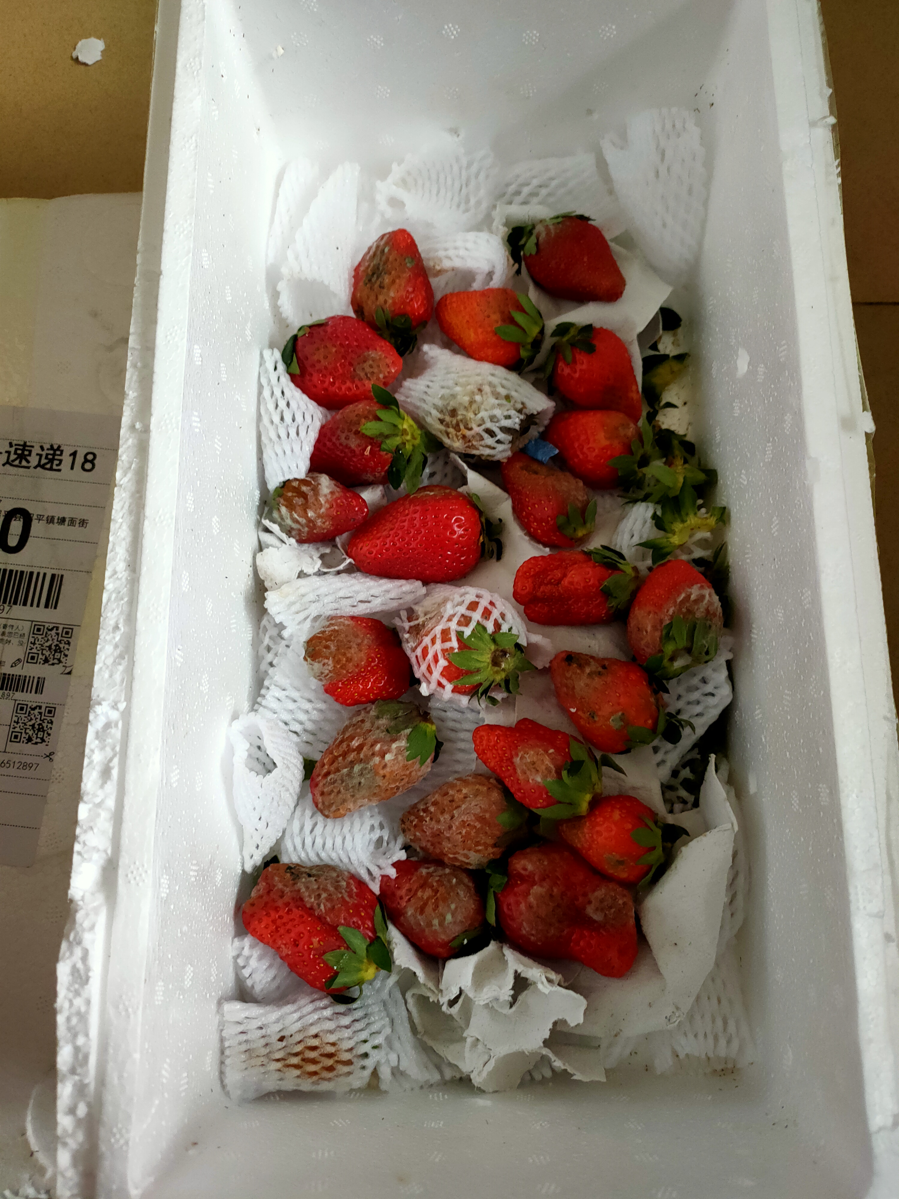 京东买到了烂草莓该咋办