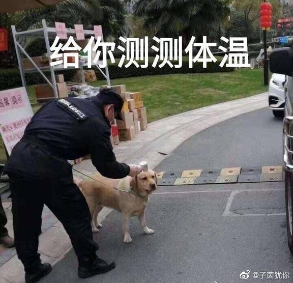关于彩虹关
