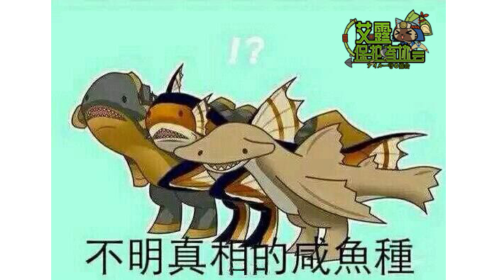 泥鱼龙没有斗技场任务吗