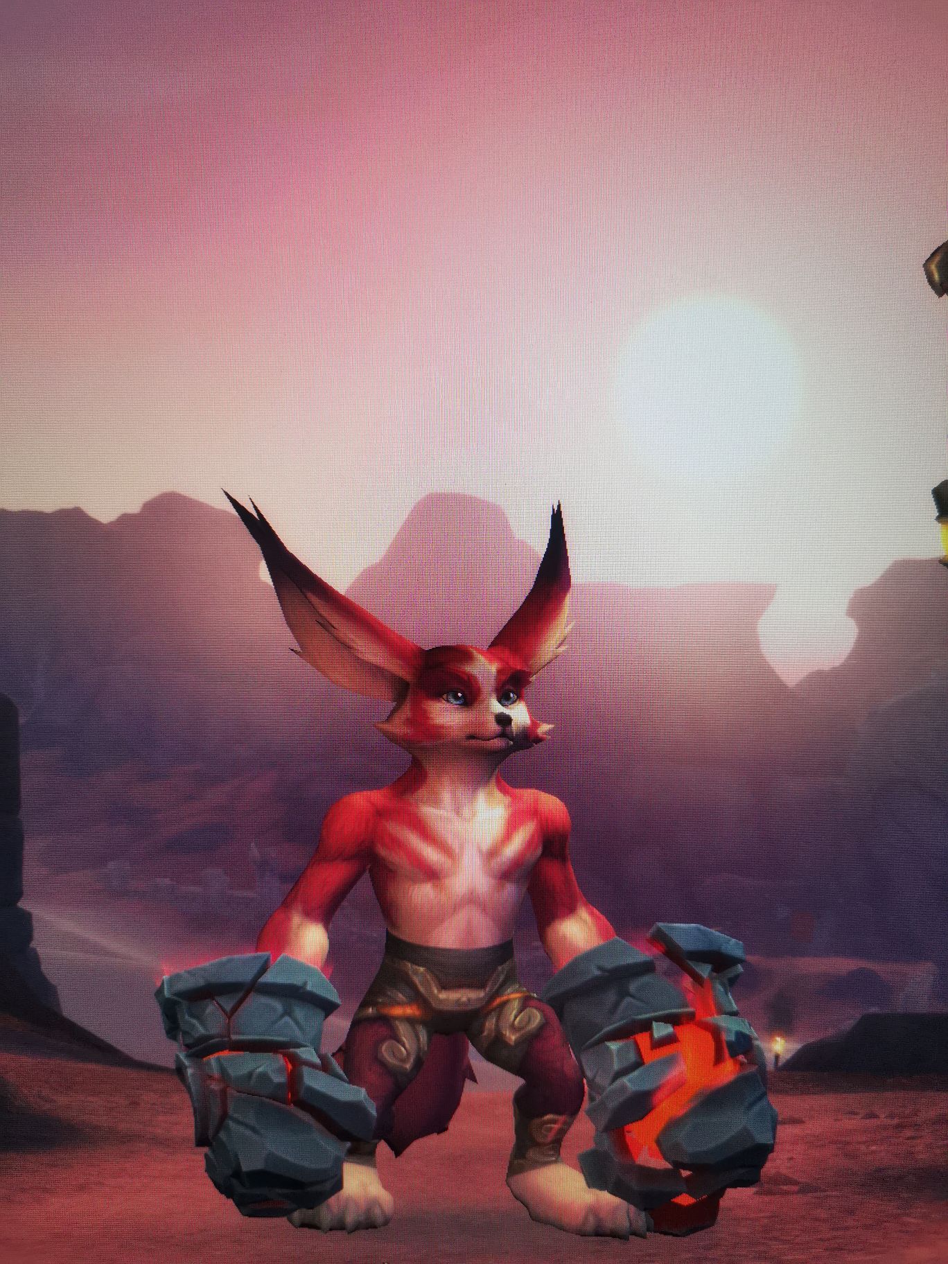 各位师兄师姐能发一下狐狸人武僧幻化吗?