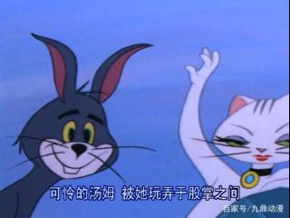 为什么女主陪男主熬夜写论文可以感动男主