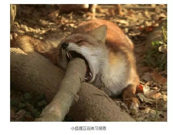 猫了怎么办热点回复 uid:41689979  2020-03-13 18:41还没变,已经在