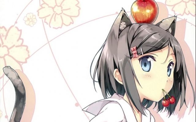 不笑猫里阳人的表面话与月子的真心话理解为反义词么?