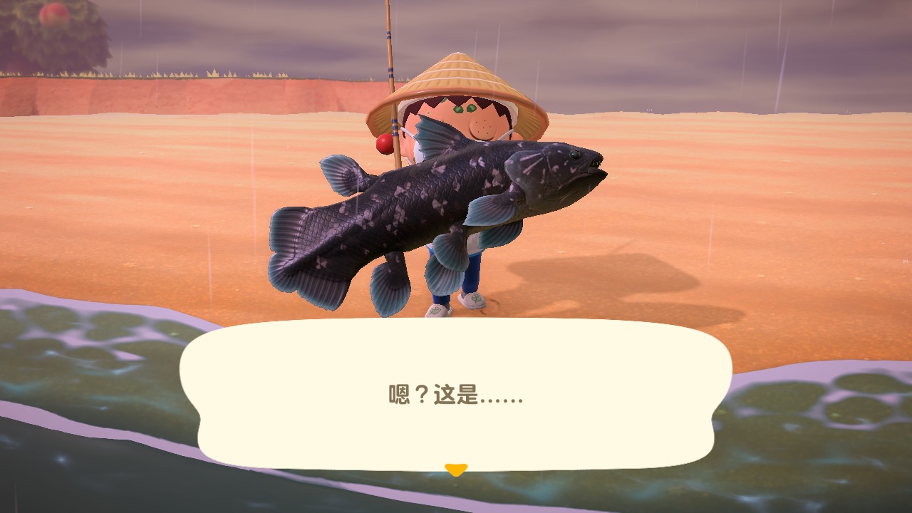 今天出了一条太平洋桶眼鱼这鱼算稀有吗