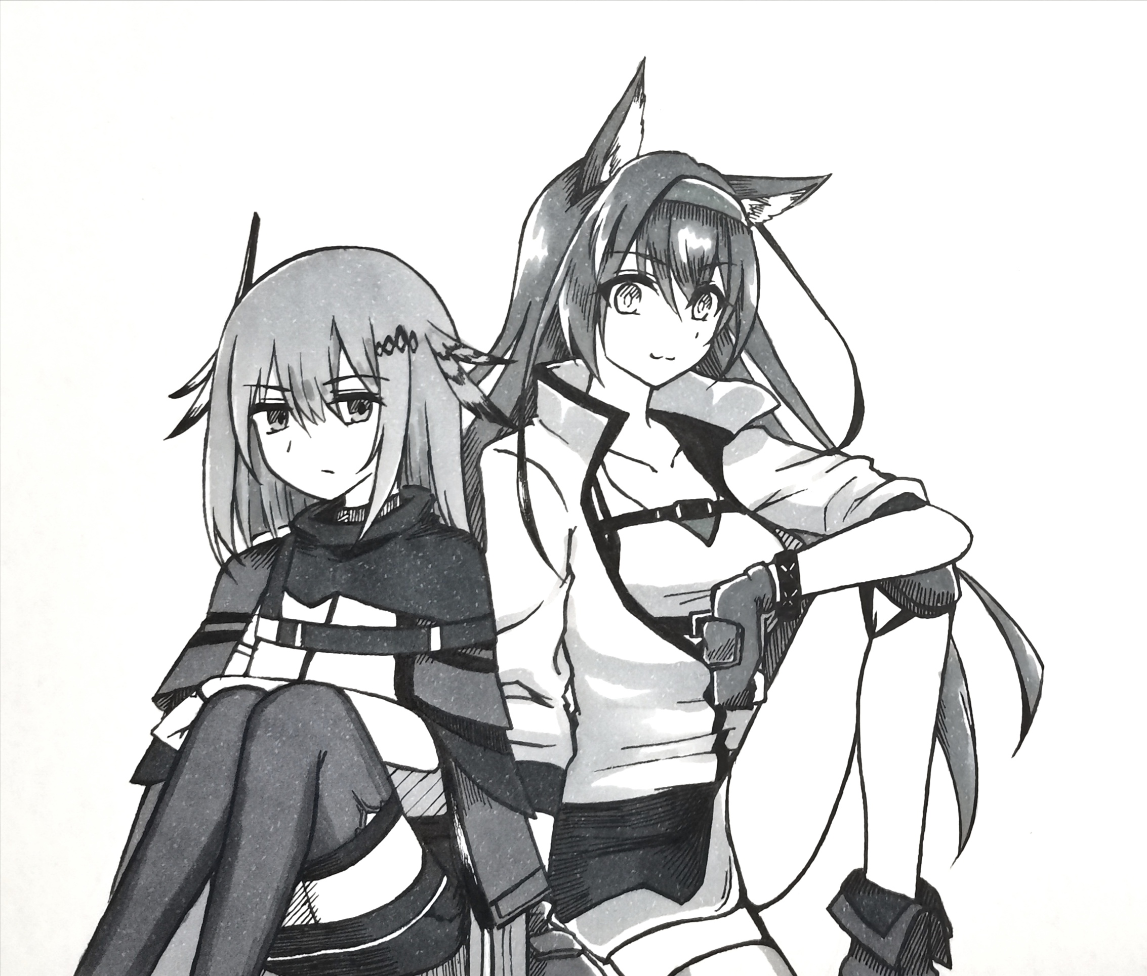 同人绘图没头脑和不高兴煌灰喉