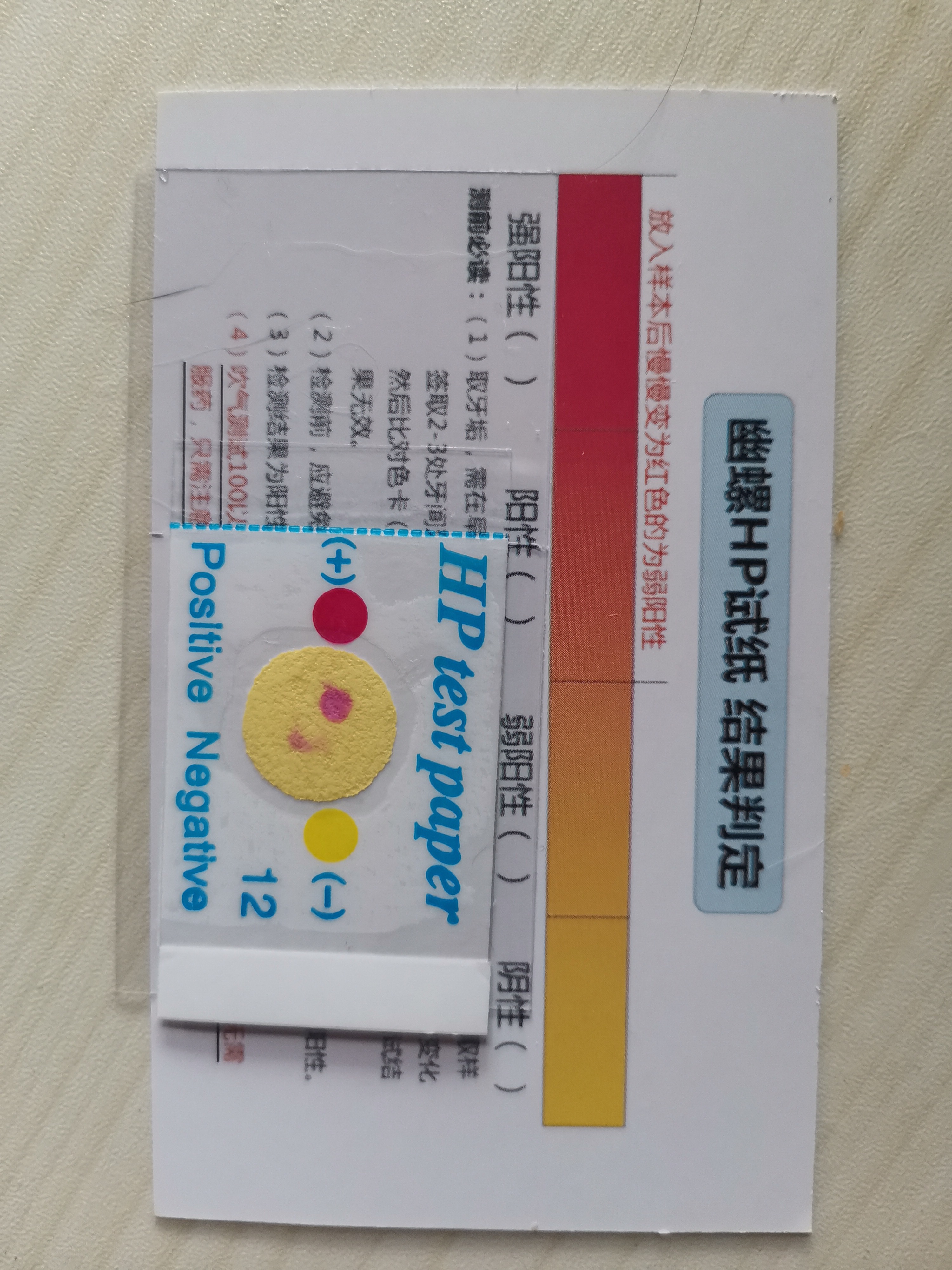 猫幽门螺杆菌阳性,能治吗.