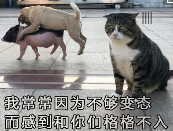 从遗传的角度分析ntr