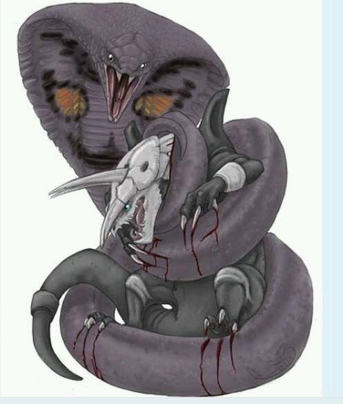 问一下各位宝可梦厨如果你要穿越的宝可梦世界是三次