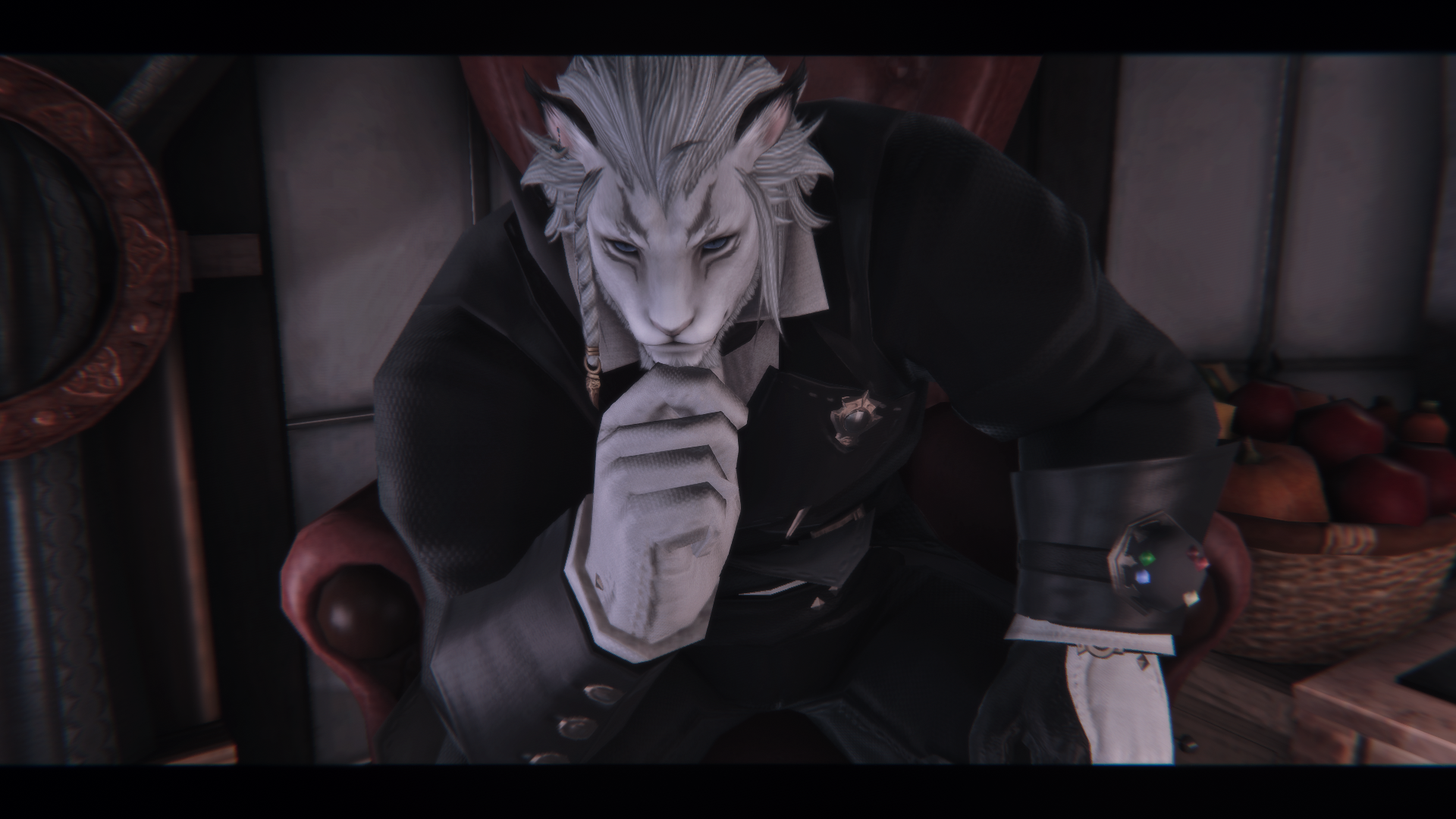 想看看大家的帅气猫男和鲁加