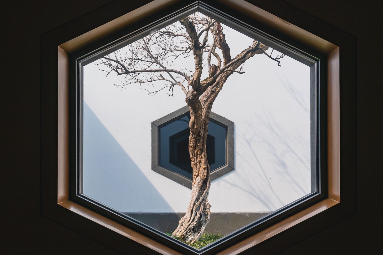 苏州博物馆瞎拍