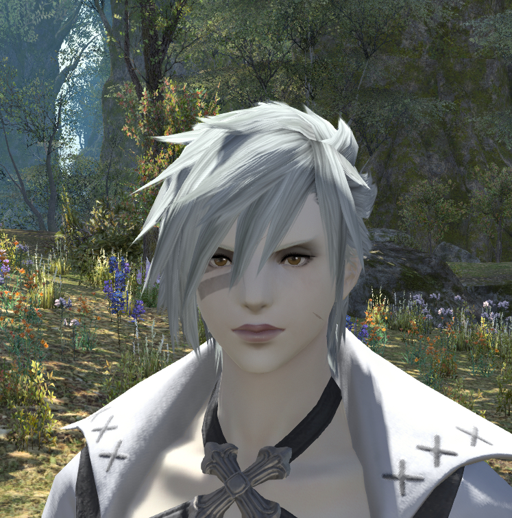 求一波大家的鲁加女捏脸