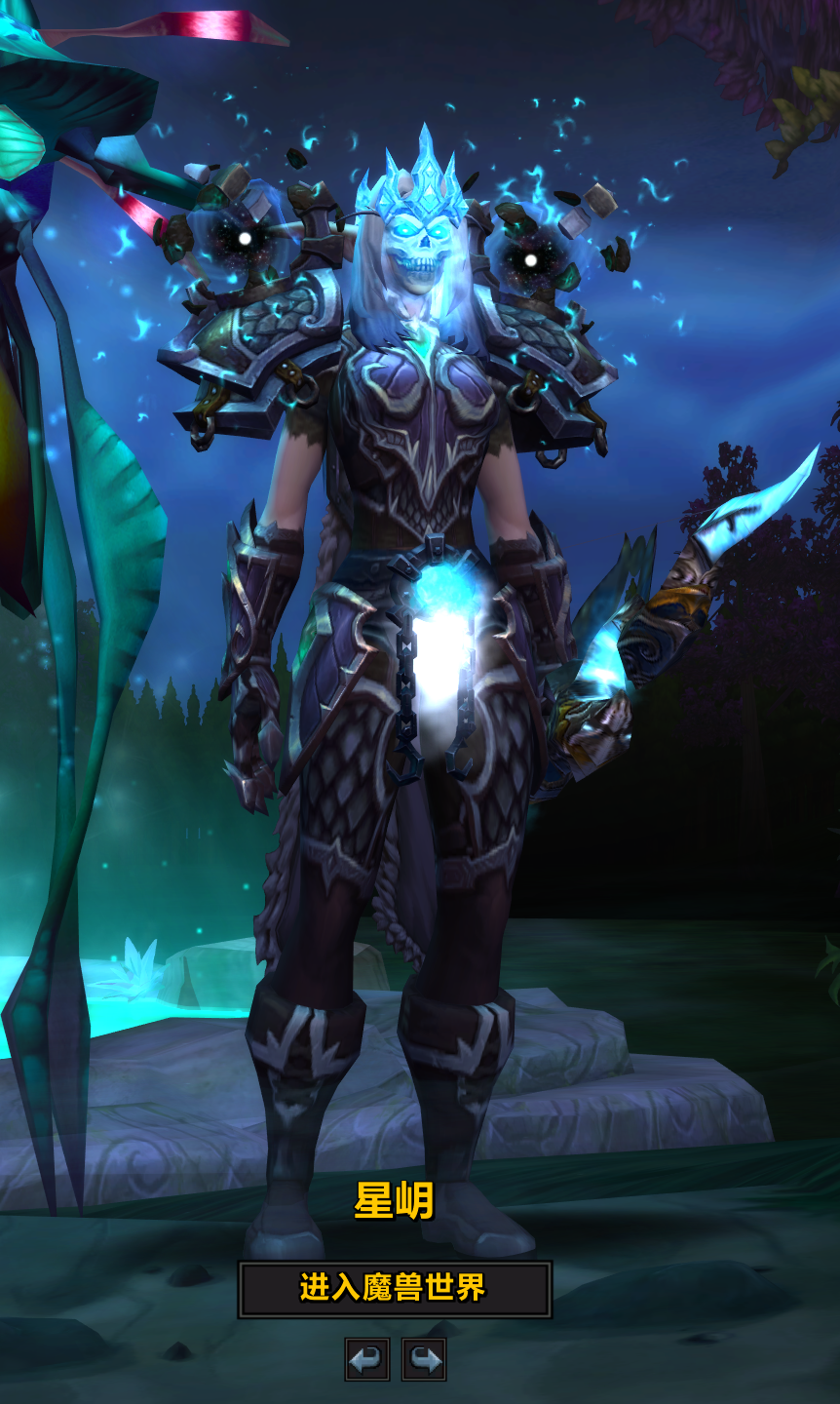 ne猎人一套幻化