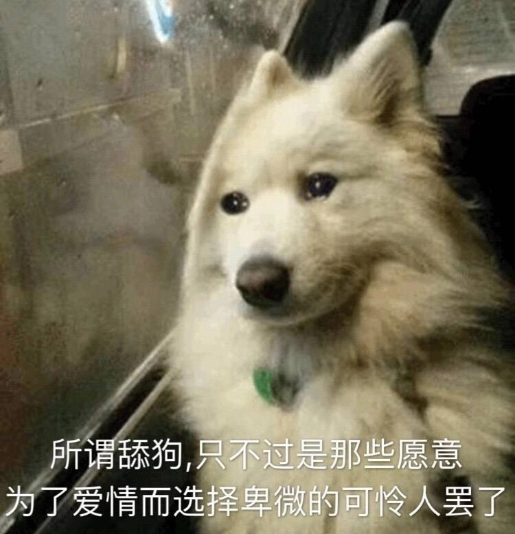 求一个舔狗表情包.我,要做舔狗,不要劝我.