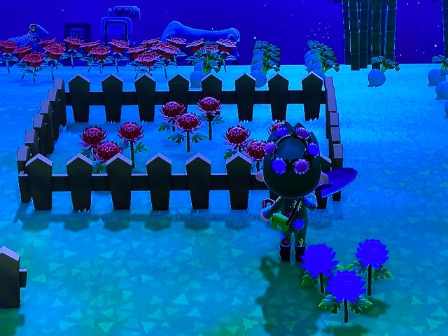 游戏综合讨论 游戏专版/合集 动物森友会系列 [提问][提问]这个任务