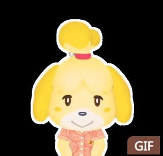 提问求动森表情包什么样的都可以尤其是小动物的表情