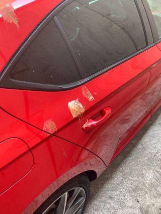 买车的时候也没听说红车吸鸟粪啊