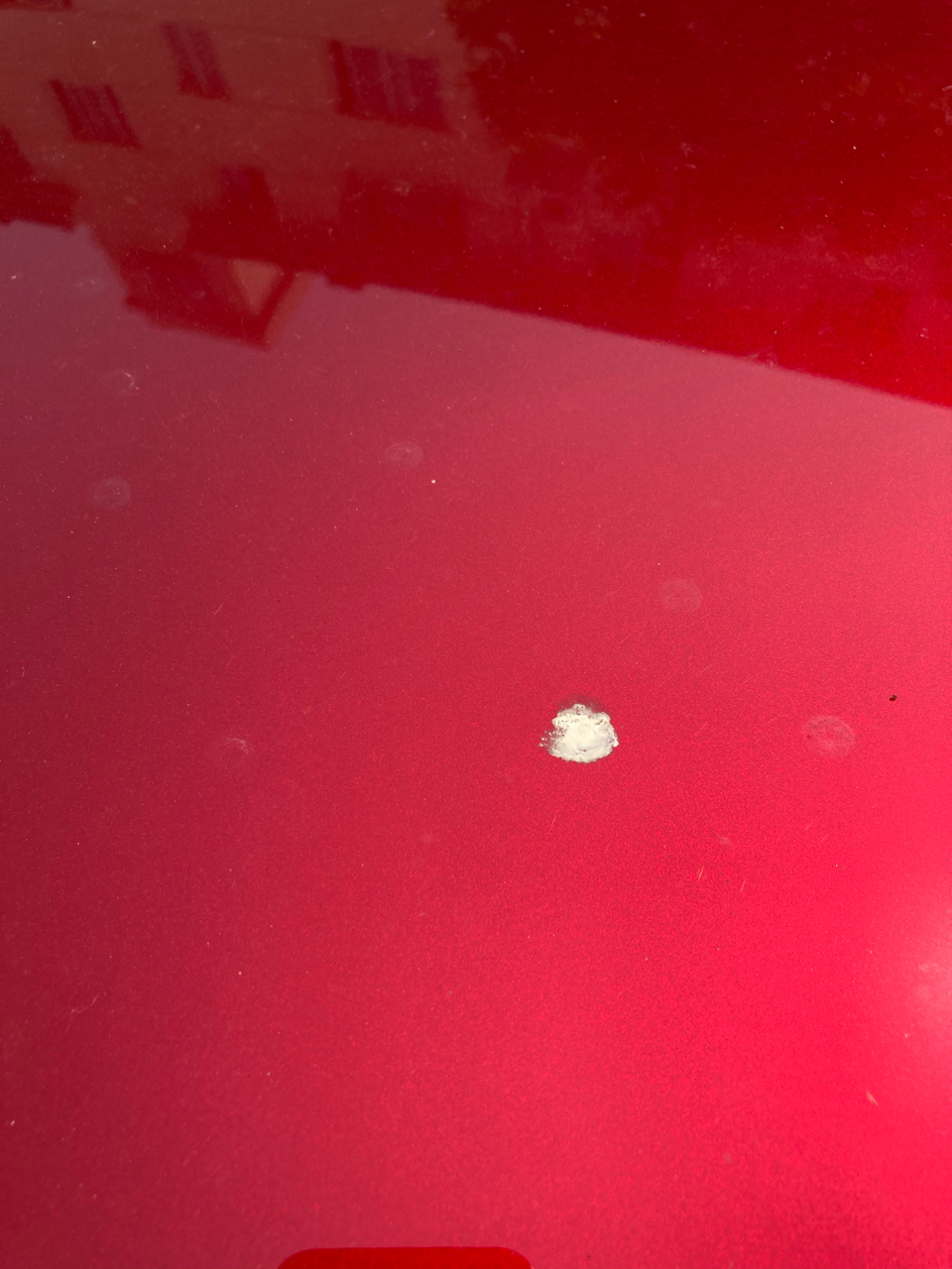 买车的时候也没听说红车吸鸟粪啊