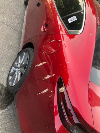 买车的时候也没听说红车吸鸟粪啊