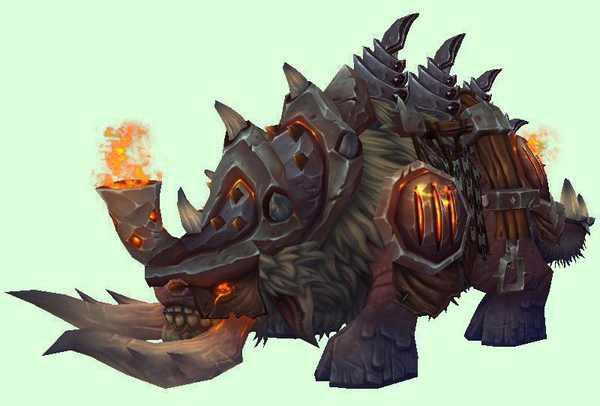 裂蹄牛四种选择推荐