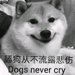 趣闻轶事动森舔狗日记更新至520已完结