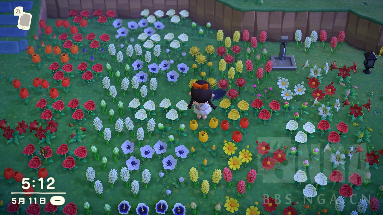 [攻略资料] 关于动森的花朵(繁殖/布局/基因/浇水)(5.3更新 改错)