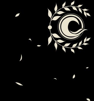 想做个卡套求个迦勒底标志的高清图