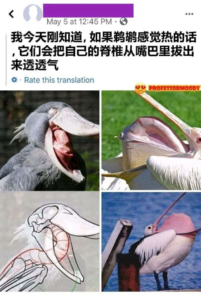 那个凯尔希原来你是