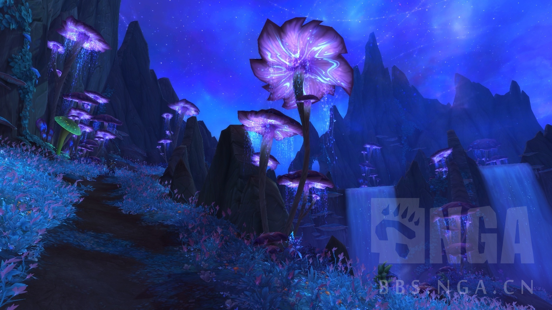 暗影国度前瞻炽蓝仙野区域预览流量警告