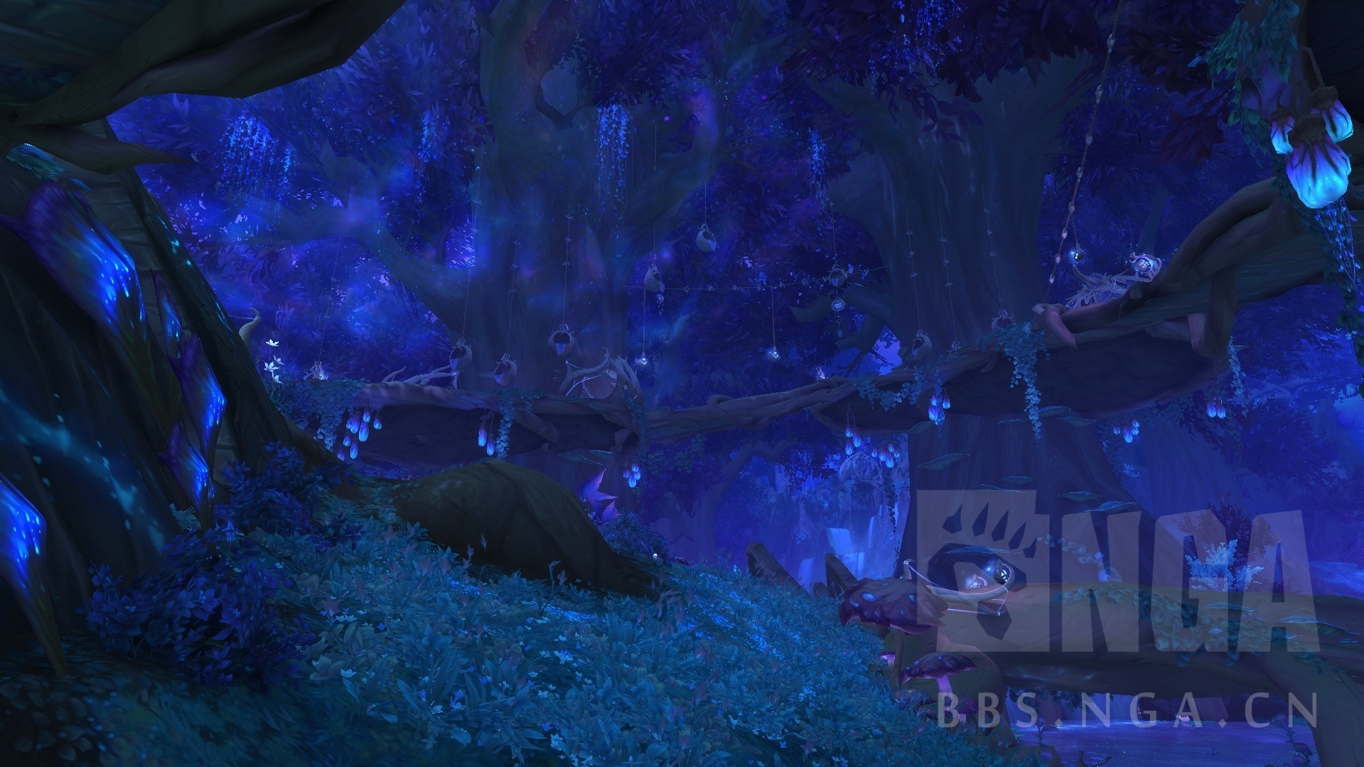 暗影国度前瞻炽蓝仙野区域预览流量警告