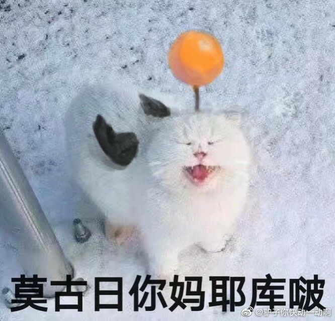 求表情包氵各位大佬有木有莫古力相关的表情包呀库啵