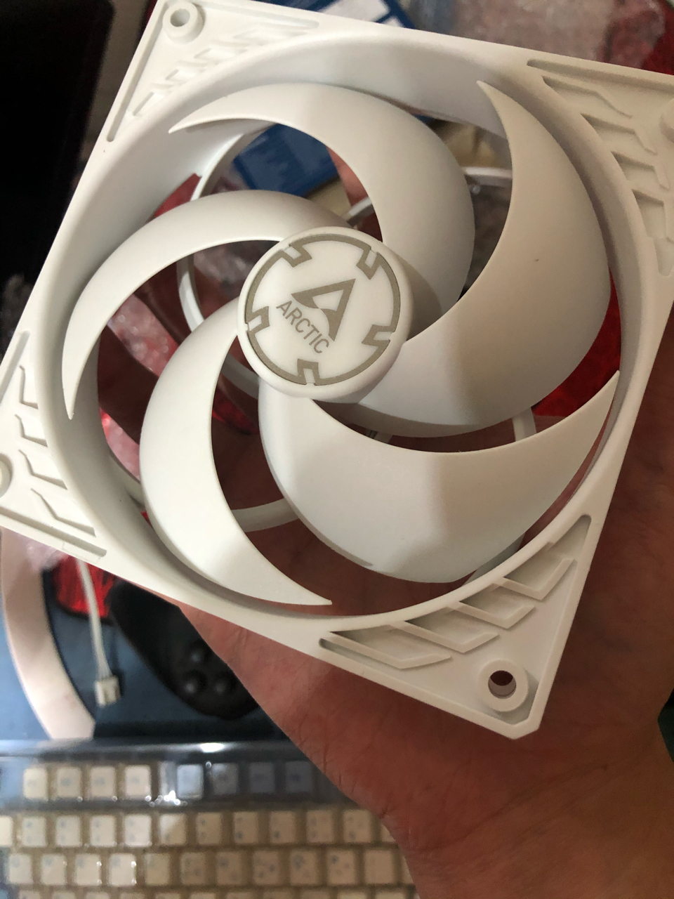 arctic的纯白p12可真漂亮