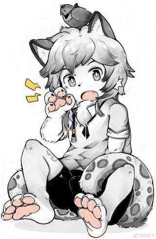 [破事氵] 想要正太(又名有没有小银灰的图)