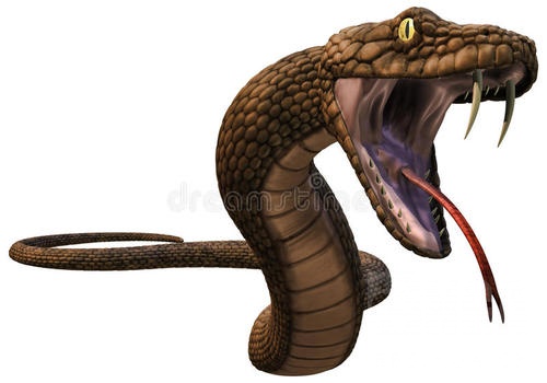 反馈蛇的口腔构造蛇的信子不是从喉咙里面伸出来的官方已修改