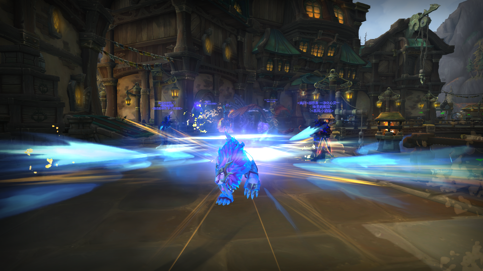 来了来了逮到星光猫了