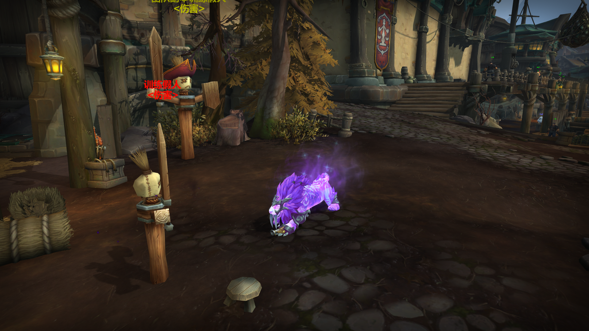 来了来了逮到星光猫了