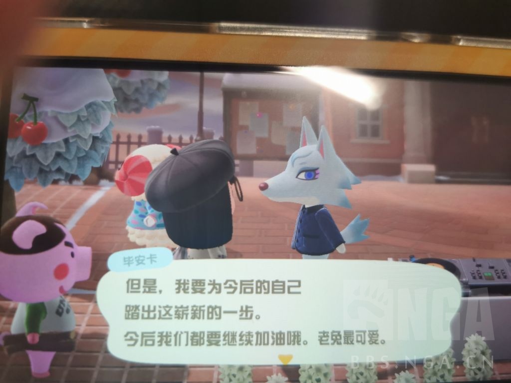 [小动物接送] 毕安卡要走了 喜欢的朋友不要错过