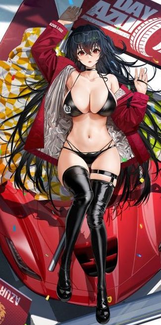 闲聊杂谈关于大凤的赛车皮肤