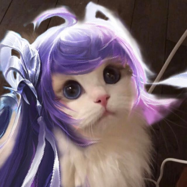 那个你们那些接上王者发型的猫猫头能不能给我也整一个
