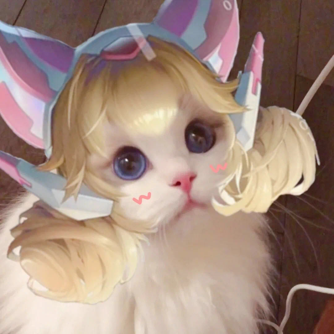 那个,你们那些接上王者发型的猫猫头能不能给我也整一个