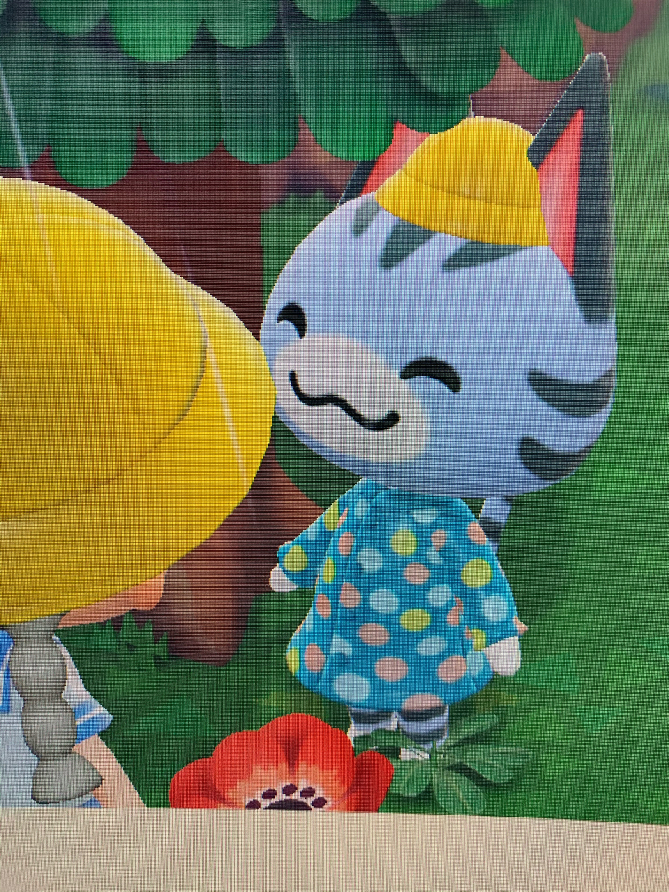 游戏专版/合集 动物森友会系列 [提问]麻烦大佬们安利下猫猫 刚刷到的